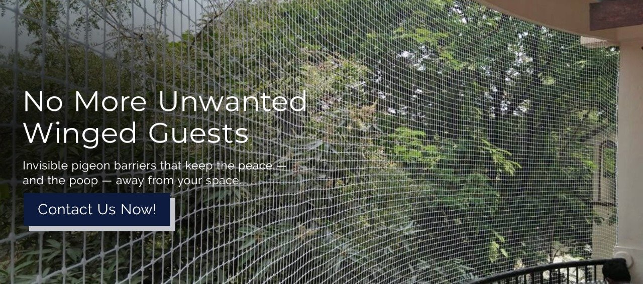 WhatsApp Image 2025-08-01 at 4.31.34 AM (1)