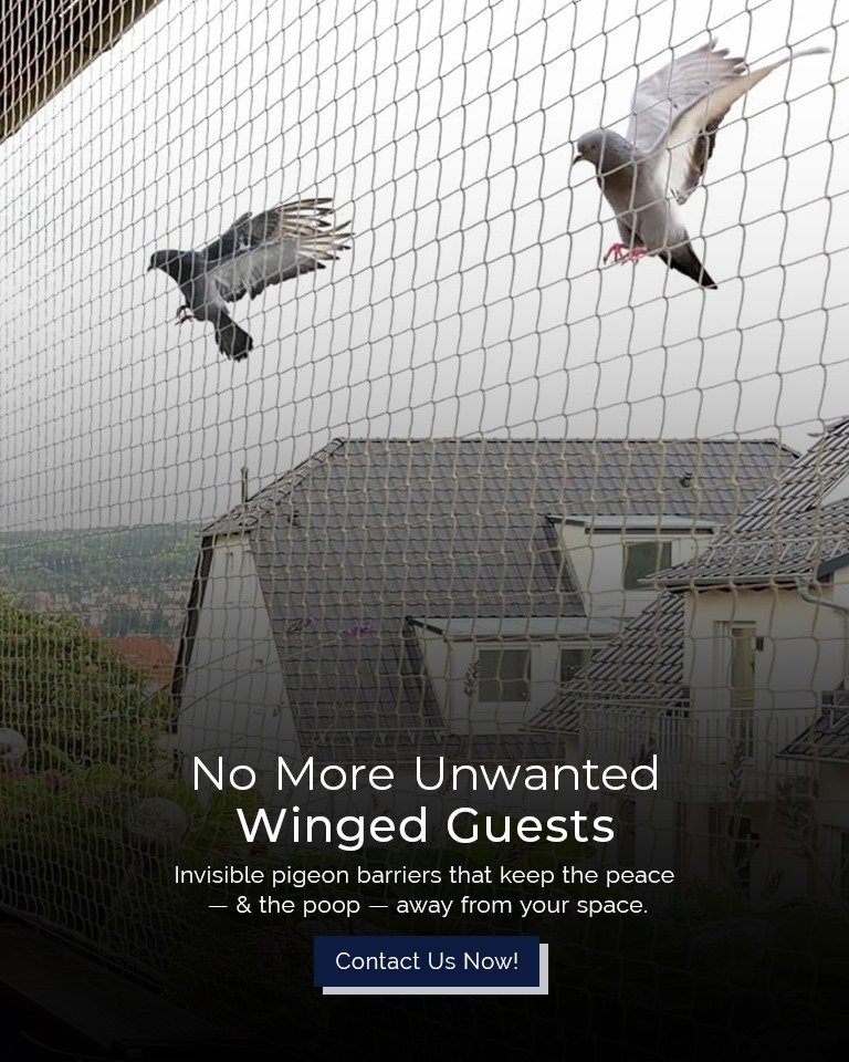 WhatsApp Image 2025-08-01 at 4.31.35 AM (3)